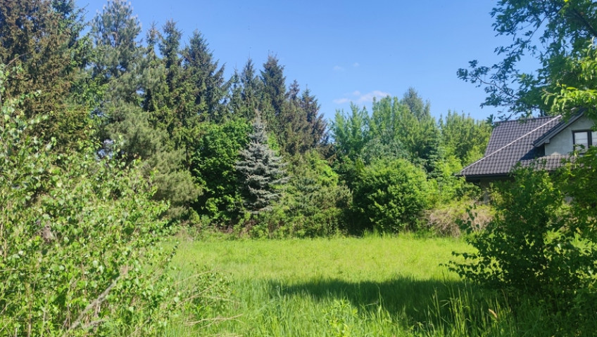 Działka Sprzedaż Zaborów